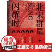 北宋群星闪耀时 晏建怀 著 中国通史社科 正版图书籍 中国友谊出版公司
