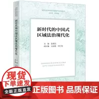 新时代的中国式区域法治现代化 张新民主编 王丽惠 桂万先副主编 法律出版社