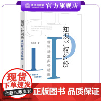 知识产权纠纷裁判标准实务精解 朱玮洁著 法律出版社