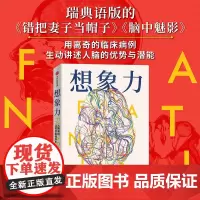 想象力 大卫·贝克斯特罗姆 著 瑞典语版的《错把妻子当帽子》《脑中魅影》,用令人称奇的临床病例展现想象力无处不在的影响