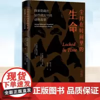 正版 尘封在时间里的生命:探索隐藏在50件化石中的动物故事 迪安洛马克斯著 通过化石带我们回到那个史前时代 史前动物