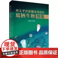 [书]西太平洋深渊及邻近区底栖生物图集9787030733429科学出版社书籍KX