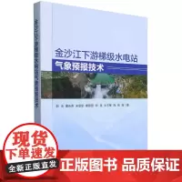金沙江下游梯级水电站气象预报技术