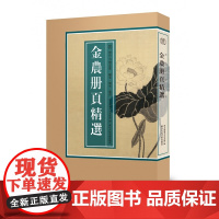 [8开单片盒装]金农册页精选 精选海内外藏金农册页小品100幅山水花卉人物画集画册原色高清临摹范本 国画大师作品集历代名