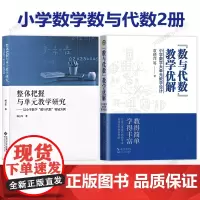 [小学数学数与代数2册]整体把握与单元教学研究 以小学数学数与代数领域为例 数与代数教学优解 小学数学大单元教学设计 袁