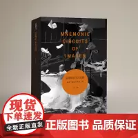 影像的记忆巡回:录像与媒体艺术家文选 王杉 主编 新迷影丛书