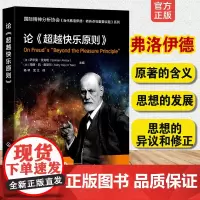 论《超越快乐原则》国际精神分析协会 当代弗洛伊德 转折点与重要议题系列 心理健康抑郁焦虑实践 童俊 IPA认证精神分析