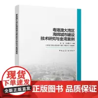 粤港澳大湾区海绵城市建设技术研究与金湾案例