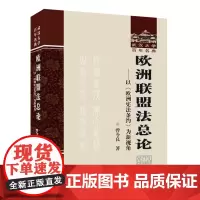 欧洲联盟法总论:以《欧洲条约》为新视角