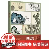 中国画经典教学丛书——玩石画法
