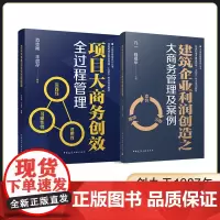 2024年新书 项目大商务创效全过程管理 建筑企业利润创造之 大商务管理及案例 大商务管理系列丛书 中国建筑工业出版 凡