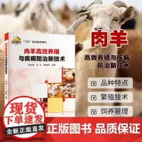 正版书籍 肉羊高效养殖与疾病防治新技术 肉羊常规化与建设 肉羊繁殖技术 饲养管理技术参考指南 中国农业科学技术出版社