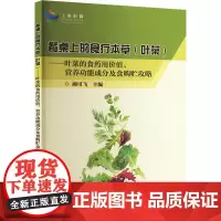 餐桌上的食疗本草 叶菜 叶菜的食药用价值 营养功能成分及食购贮攻略 食材基础介绍 中医学理论参考指南 中国农业科学技术出