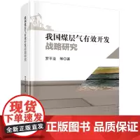 我国煤层气有效开发战略研究