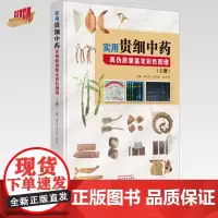 实用贵细中药真伪质量鉴定彩色图谱(上册)陈代贤 郭月秋 陈代祥 主编 中国中医药出版社