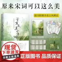 宋朝词人风雅集 曾有天真少年时苏轼欧阳修辛弃疾秦观柳永李清照晏殊等12位宋人宋词里的优雅浪漫书籍