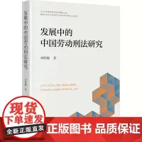 发展中的中国劳动刑法研究 刘昭陵 著 法学理论社科 正版图书籍 法律出版社
