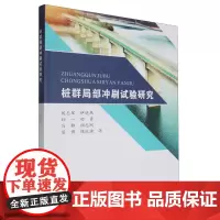 桩群局部冲刷试验研究