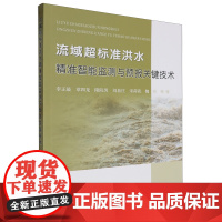 流域超标准洪水精准智能监测与预报关键技术