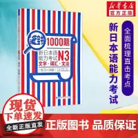 红蓝宝书1000题 新日本语能力考试N3文字词汇文法 练习+详解 新日本语能力考试N3模拟真题集文字词汇文法练习题搭日语