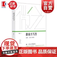 新南方写作 地缘经验与想象 曾攀著上海文艺出版社文体修辞美学探索现实主义写作文学创作