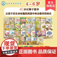 全40册 4-6岁红狮子数学 儿童数学启蒙认知书 儿童读听看玩全方位启蒙书籍 幼儿园数学纸板书 小学数学 幼儿数学书 小