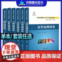 “消化系统疾病X线/CT图文详解丛书” 滕皋军,高剑波 总主编