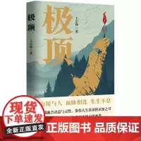 [正版]极顶/新时代山乡巨变创作计划 王宗坤 作家出版社 9787521229066