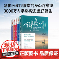 轻疗愈全系列:轻疗愈+轻疗愈2+轻疗愈3+轻疗愈4+敲除内心恐惧(套装5册)