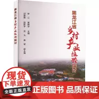 黑龙江省乡村产业振兴探讨 矫江,黄峰华 编 农业基础科学专业科技 正版图书籍 中国农业科学技术出版社