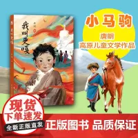 我叫更嘎 唐明著 现实题材儿童短篇小说集 以青海生态移民村为背景以藏族孩童的视角 讲述亲情爱情友情的故事 四川文艺出版社