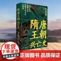 隋唐王朝兴亡史