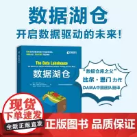 数据湖仓 大数据管理数据仓库数据湖湖仓一体建设数据湖架构数据网格计算机数据分析书籍