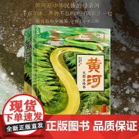 黄河大型立体书7-12岁儿童科普读物小学生一二三四五六年级课外阅读 地理历史文化知识 黄河流域的通识百科 推拉旋转翻页机