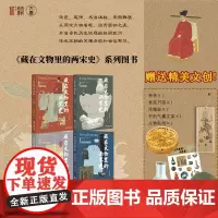 附赠贴纸+精美文创]藏在文物里的两宋史全4册 函套装 南宋书房 著 人文通识读物 艺术/文学/历史/社会风俗 浙江摄影出