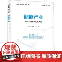 储能产业 碳中和背景下的新赛道 张长令,吴鹏飞 编 中国经济/中国经济史经管、励志 正版图书籍 中国发展出版社