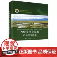 西藏麦地卡湿地常见藻类图集/地球第三极科学技术研究系列/西藏大学喜马拉雅文库
