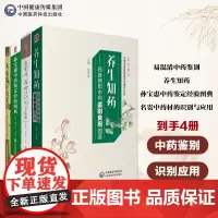 易混淆中药鉴别养生知药药食两用中药鉴别食用图鉴中药材孙宝恵中药鉴定经验图典名贵中药材的识别与应用临床常用中药识别应用图谱