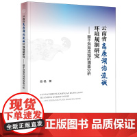 云南省高原湖泊流域环境规制研究:基于洱海流域的调查分析