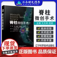 脊柱微创手术 附视频 文天林 祝斌 丁凡主译 脊柱微创手术技术和细微差别 脊柱矫形外科入门读物 辽宁科学技术出版社978