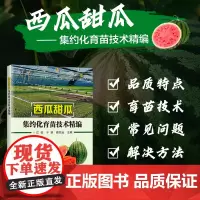 正版书籍 西瓜甜瓜集约化育苗技术精编 西瓜甜瓜育苗产业发展概况 产业发展前景 嫁接新品种科普指南 中国农业科学技术出版社