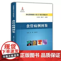 食管病例图鉴 杜勇 岳松伟 消化系统疾病X线CT图文详解丛书 食管解剖与正常影像学表现 临床常见罕少见病例书籍