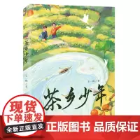 茶乡少年
