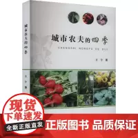 城市农夫的四季 董静 著 文学其它文学 正版图书籍 合肥工业大学出版社