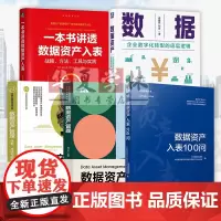 5册 数据资产入表100问+一本书讲透数据资产入表 战略方法工具+数据资产管理+体系方法与实践+数据资产 企业数字化转型