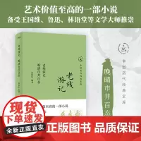 正版 老残游记 晚清市井百态 中国历代经典宝库 30年经典 轻松读懂中国古典小说的文化内涵 龚鹏程 梁晓声
