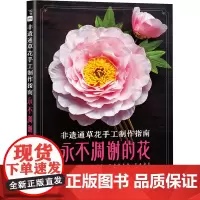 非遗通草花手工制作指南 永不凋谢的花 爱林博悦,珠珠通草花 编 都市手工艺书籍生活 正版图书籍 人民邮电出版社