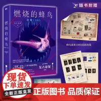 [正版书籍]燃烧的蜂鸟·迷案1985 后劲十足的80年代真实迷案 腾讯视频出品同名影视 赠线索海报+DIY疾驰卡+作品打
