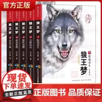 狼王梦正版 沈石溪动物小说大王狼王梦画本珍藏版完整版漫画版小学生三四五六年级课外书8-12岁班主任经典儿童文学书洋溢