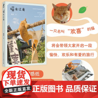 赠喵卡]2024新书 喵在江南 猫咪摄影集徐岩猫咪写真随笔 可爱宠物摄影写真街猫拍摄照片相册 萌趣猫猫照片喵星人摄影画册